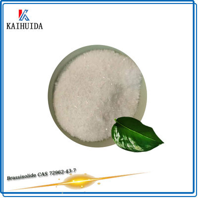 0.1%Sp het natuurlijke Brassinolide-Poeder CAS 72962-43-7 van de Installatiegroeiregulator