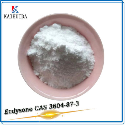 De Hoge Zuiverheid 98% Ecdysone CAS 3604-87-3 van de schoonheidsmiddelen Grondstof