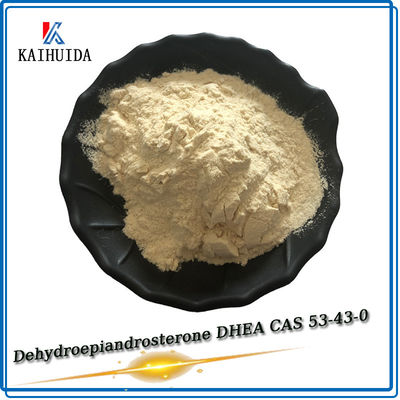 Farmaceutische tussenproducten Raw Powder DHEA CAS 53-43-0