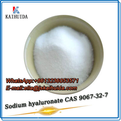 Cosmetica Raw Material Wit poeder Natriumhyaluronate Hyaluronzuur CAS 9067-32-7